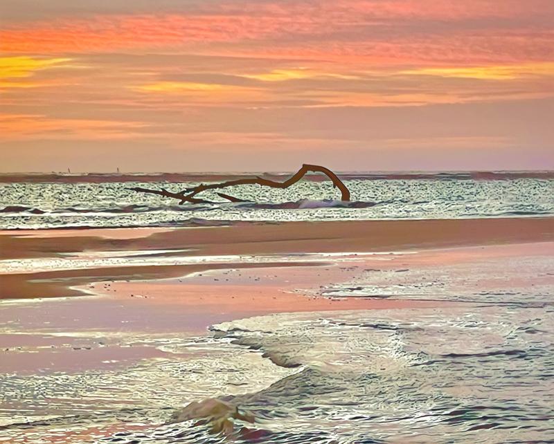 Art Adrift
