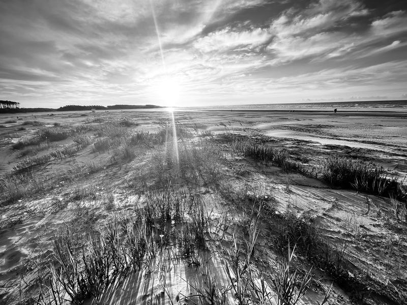 Solar Beach black and white